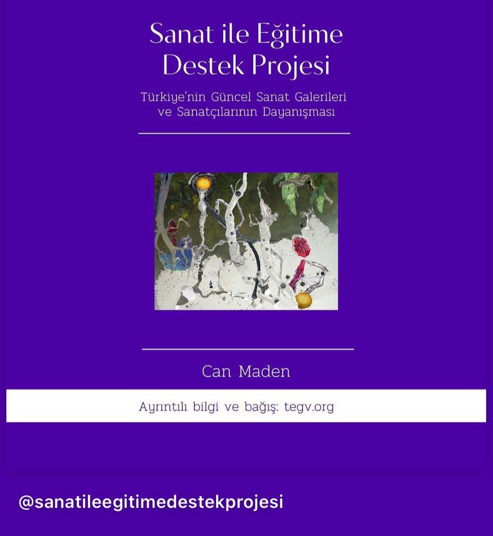 Sanat ile Eğitime Destek Projesi