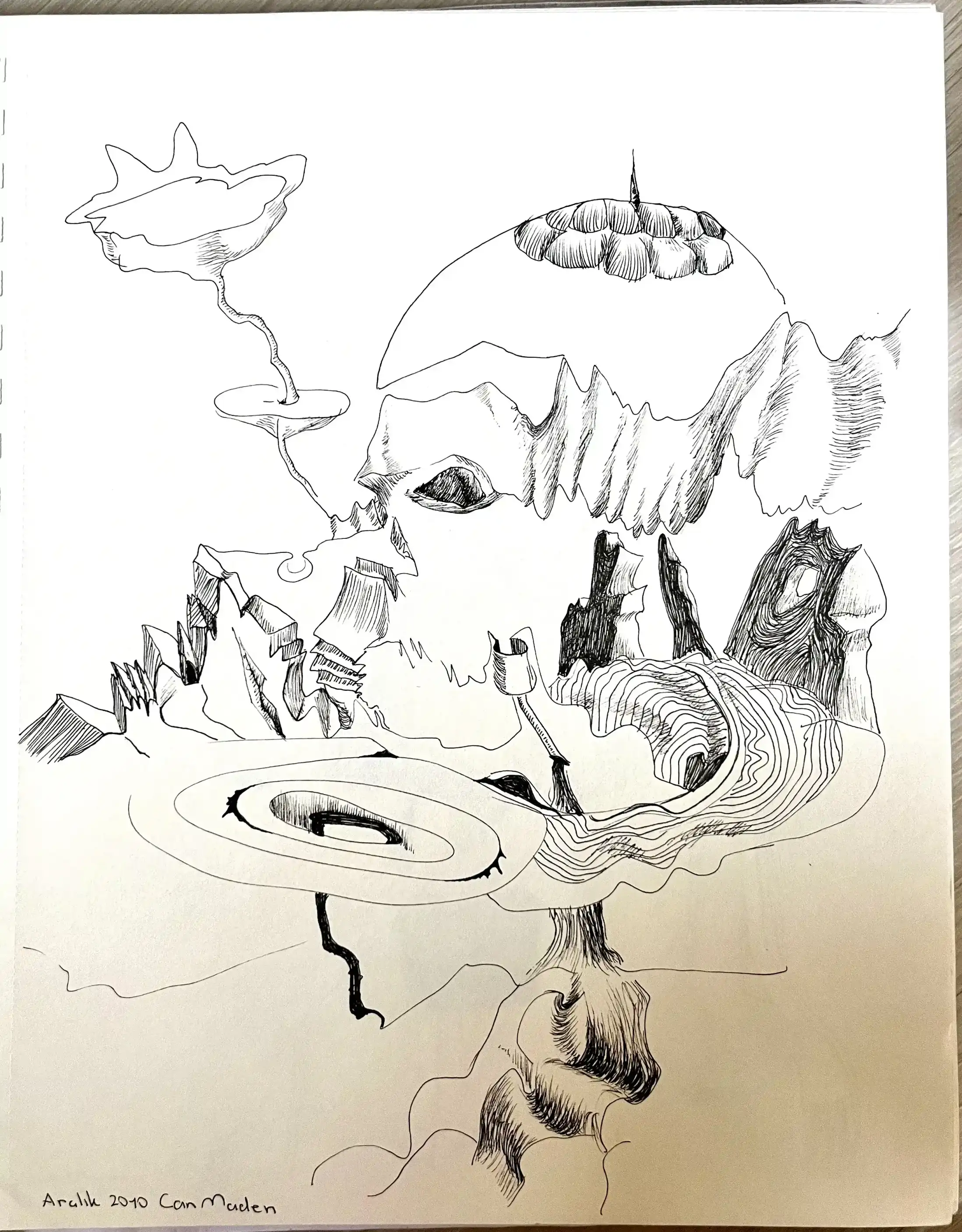 Untitled, December 2010 (1)