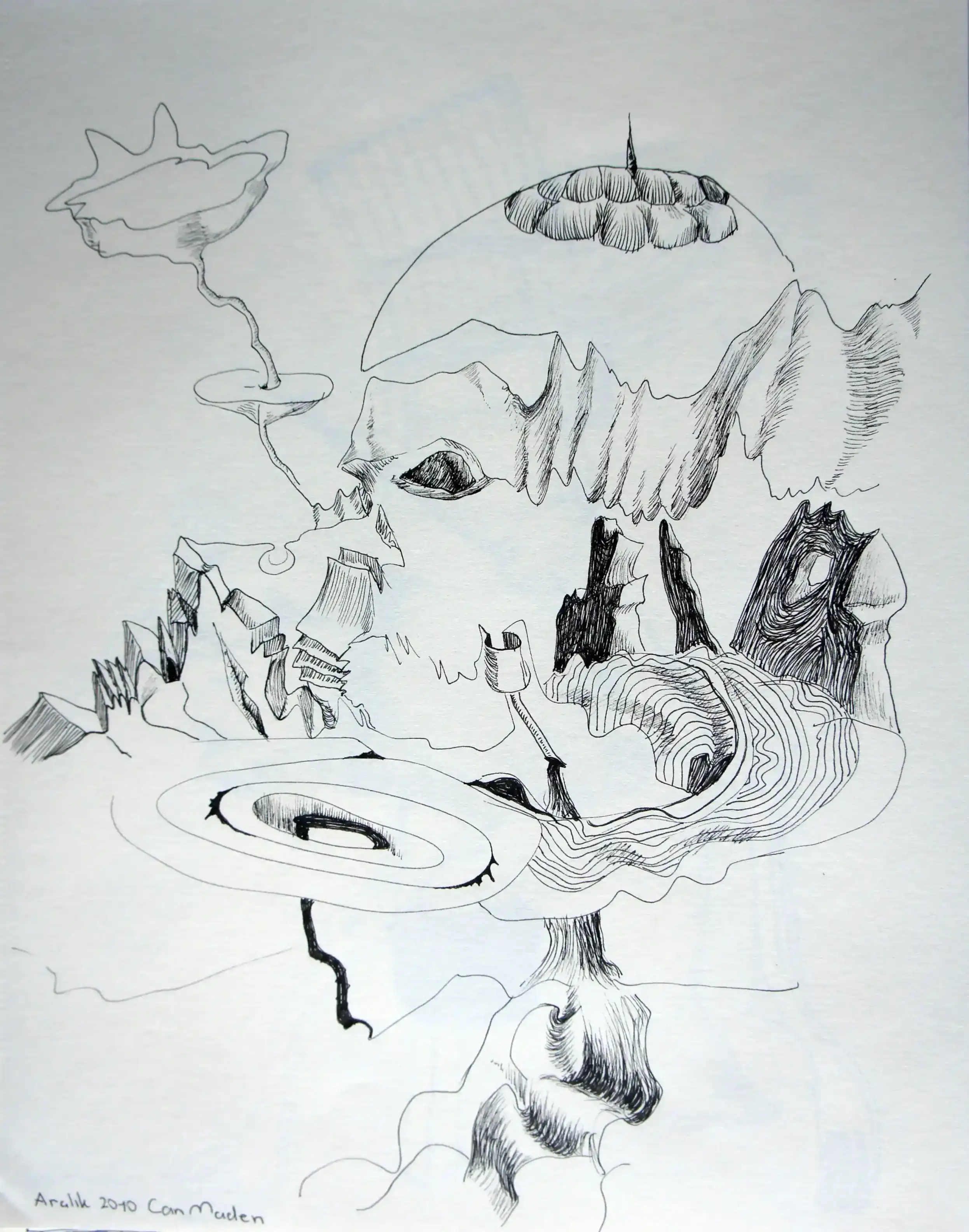 Untitled, December 2010 (2)