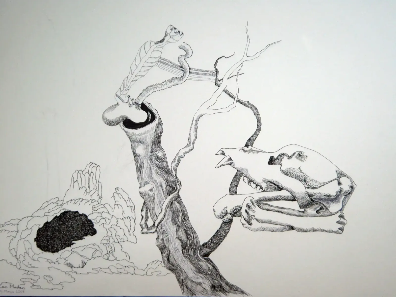 Anatomy, 2008, Can Maden