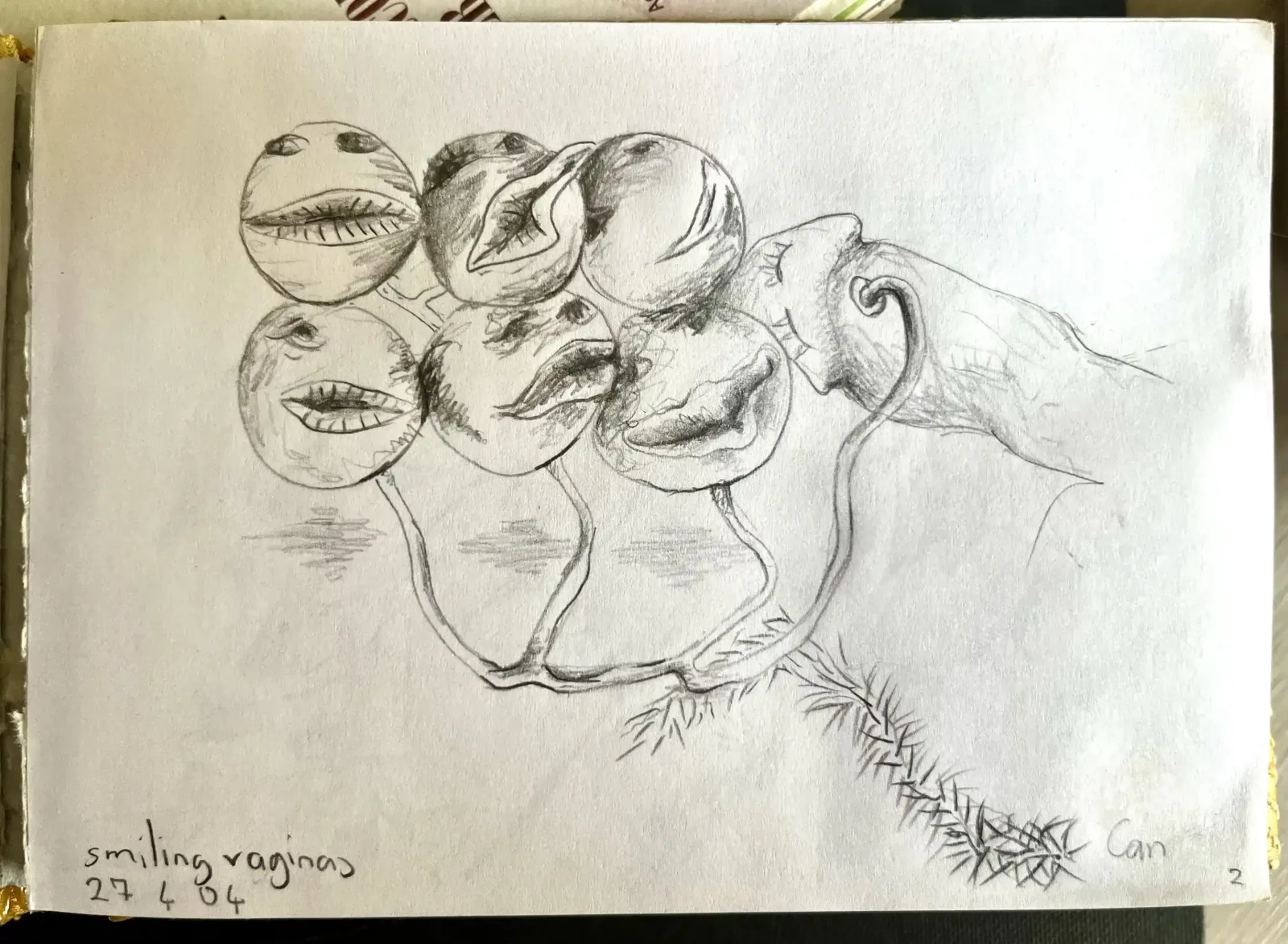 Smiling Vaginas, 2004, Can Maden