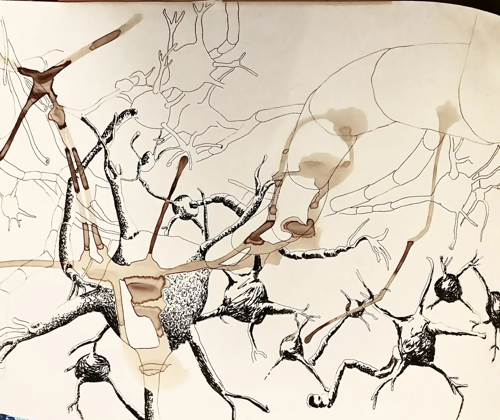 Untitled, 2014, Can Maden