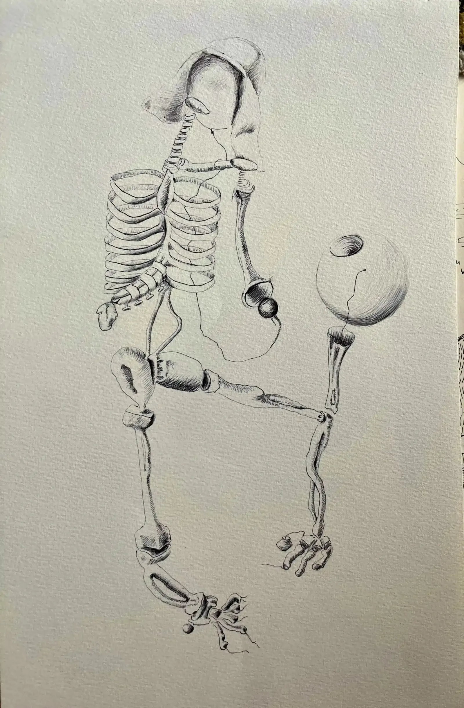 Anatomy, 2008, Can Maden