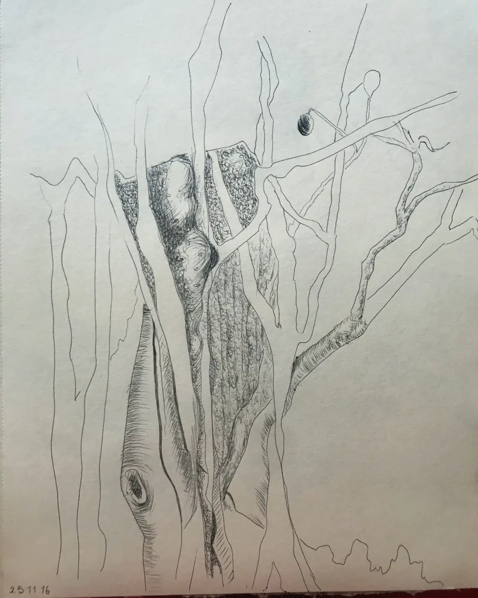 Untitled, 2016, Can Maden