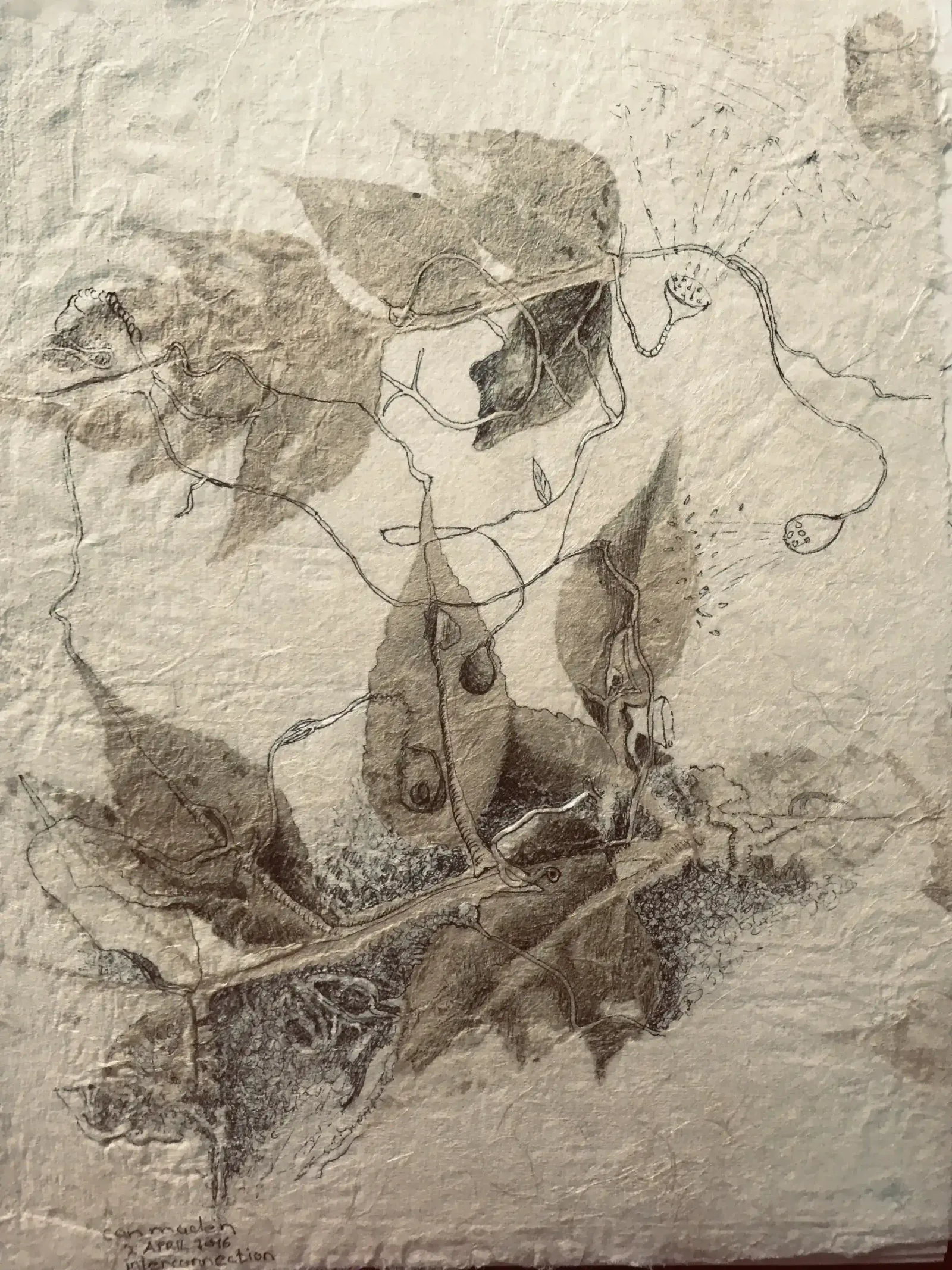 Interconnection, 2016, Can Maden