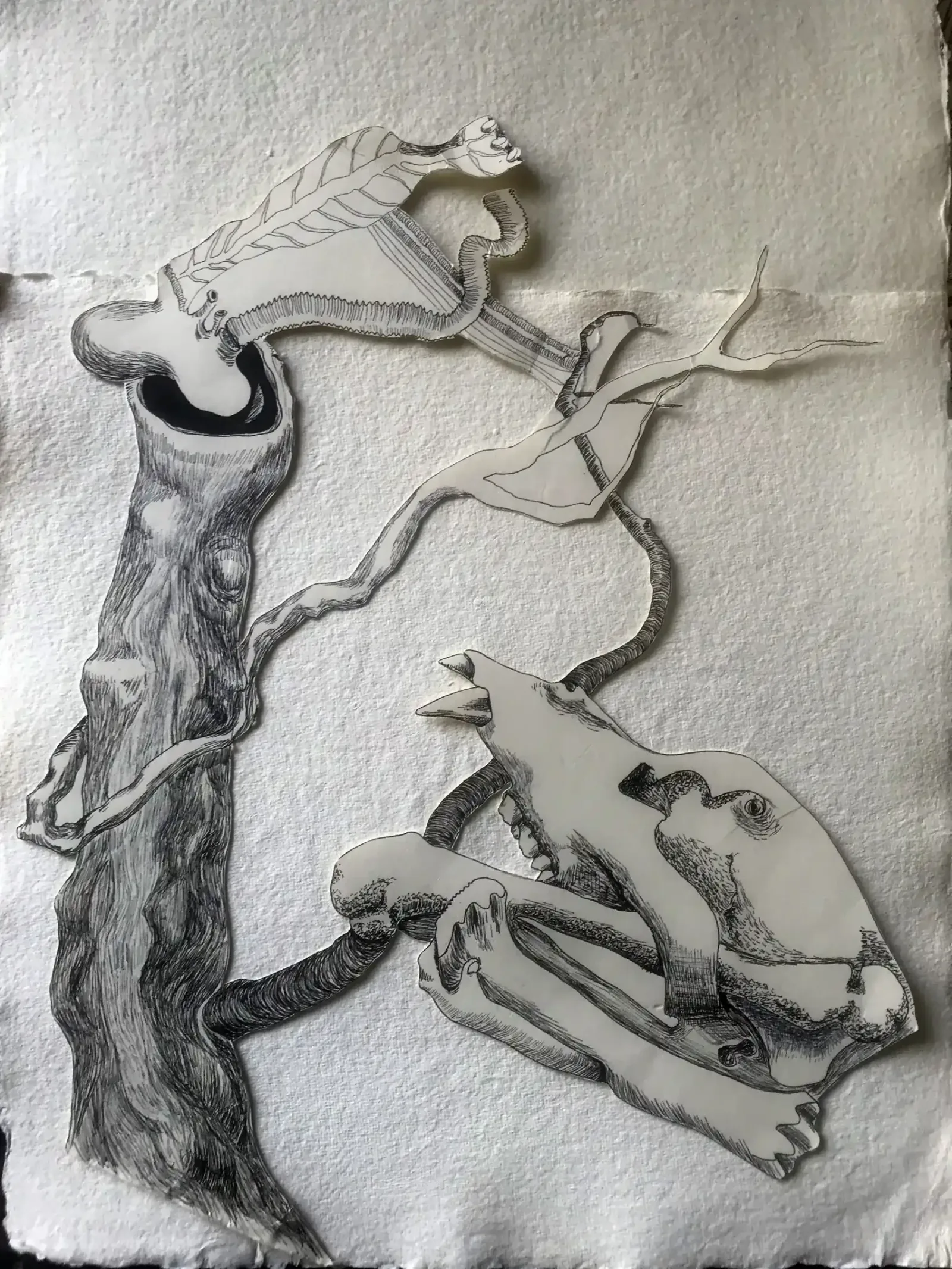 Tree & Wolf, 2015, Can Maden