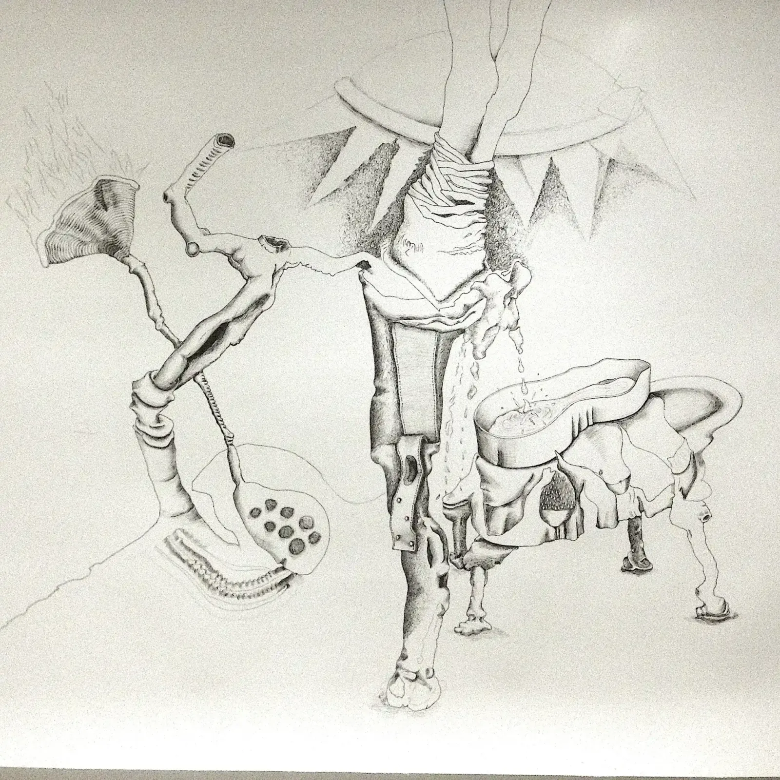 Surgery, 2015, Can Maden