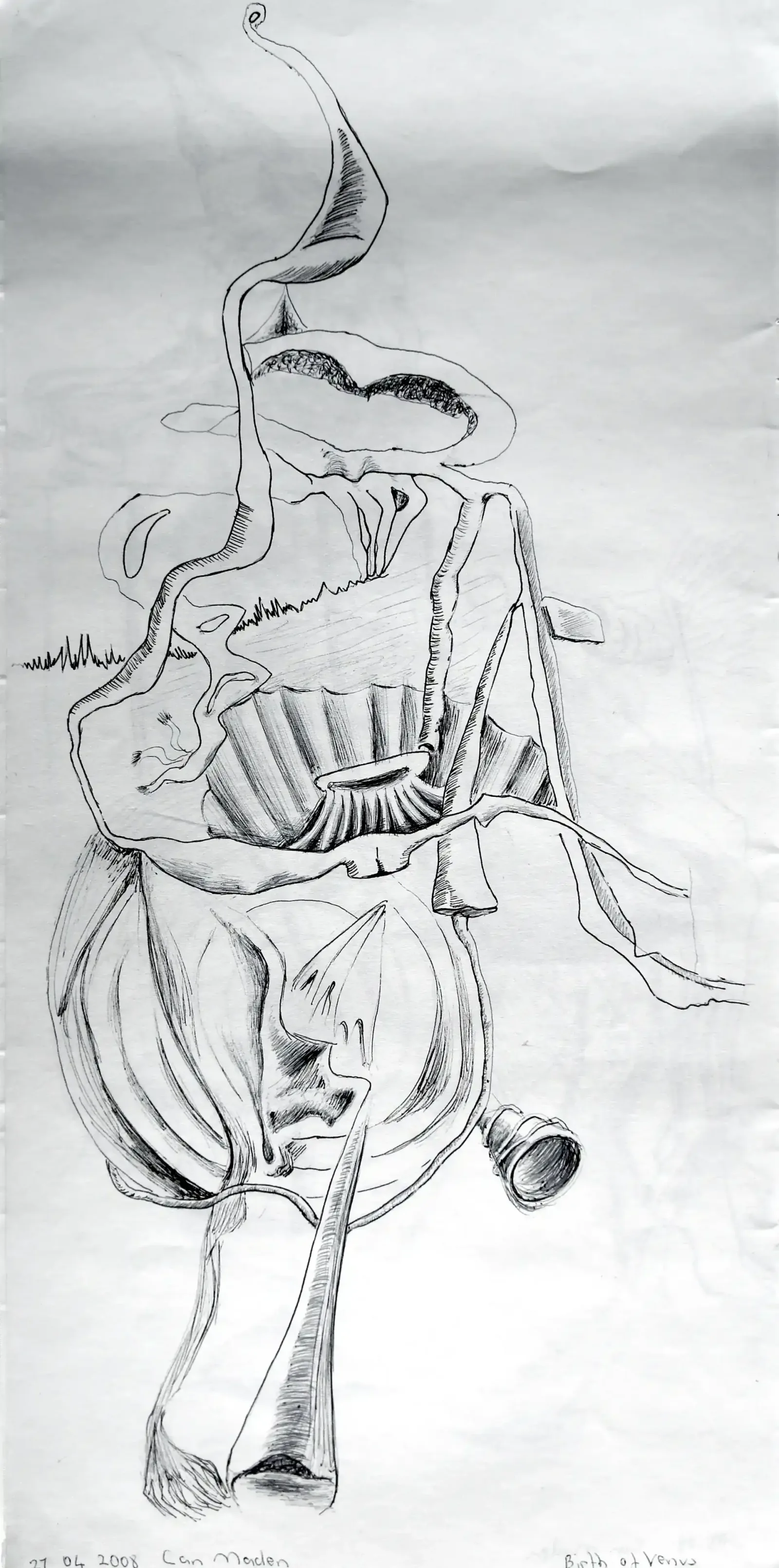 Figure 4, 2008, Can Maden