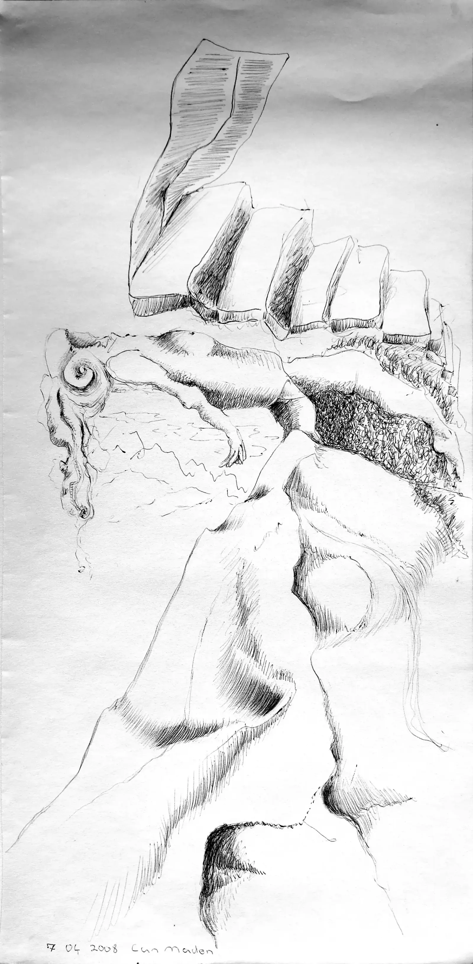 Figure 5, 2008, Can Maden