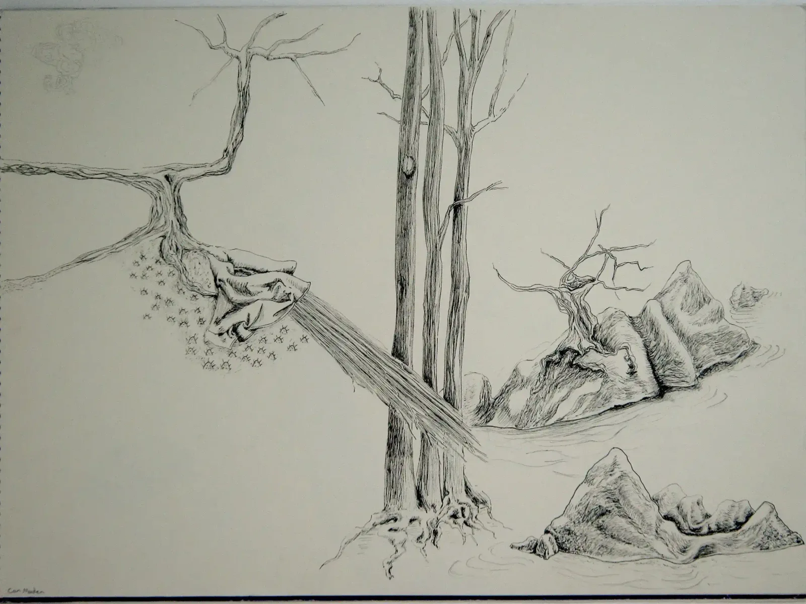 Landscape, 2008, Can Maden