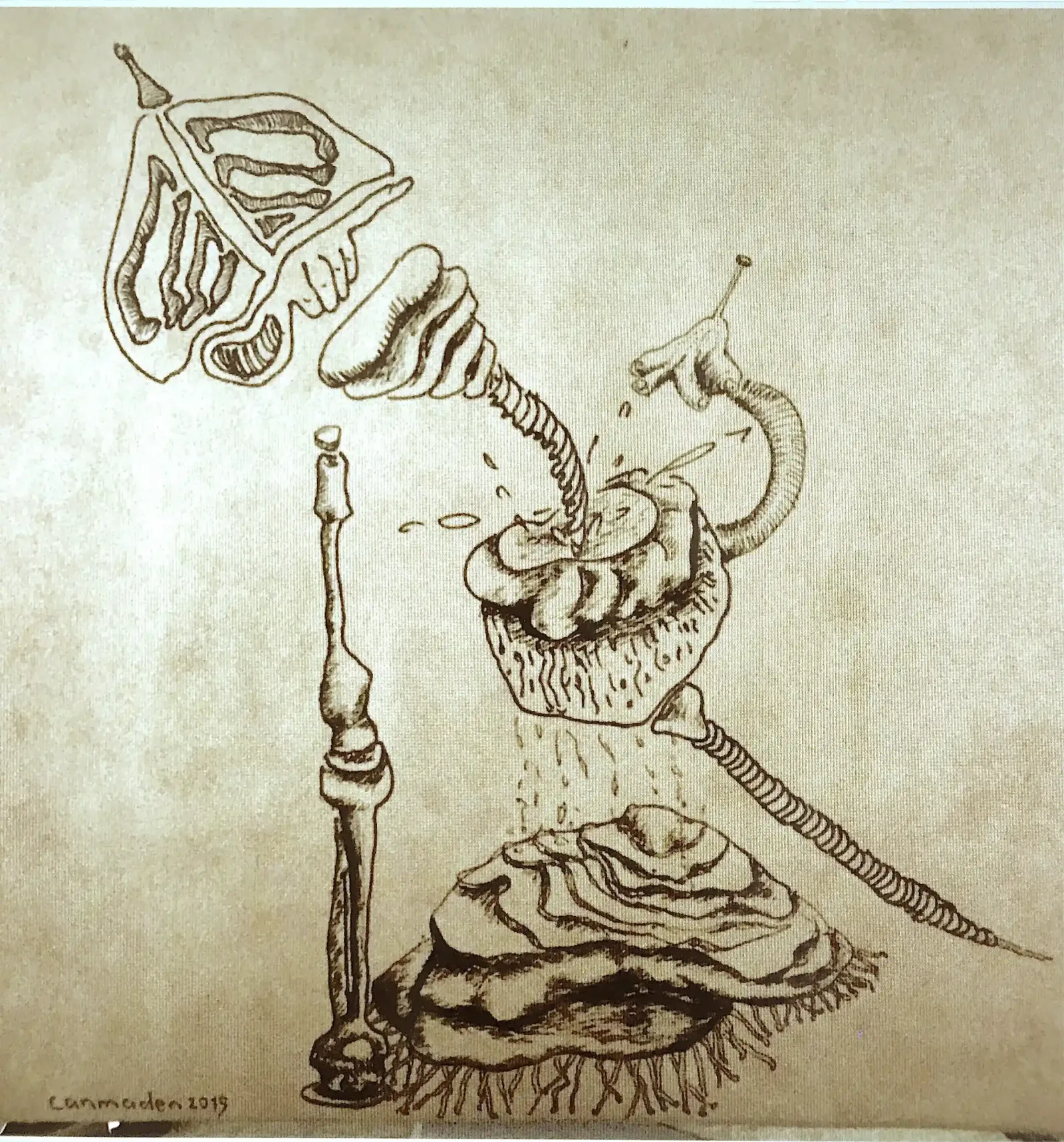 Anatomy, 2015, Can Maden