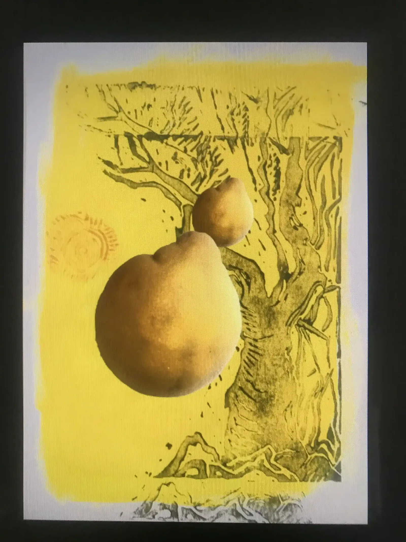Lemon Tree, 2018, Can Maden